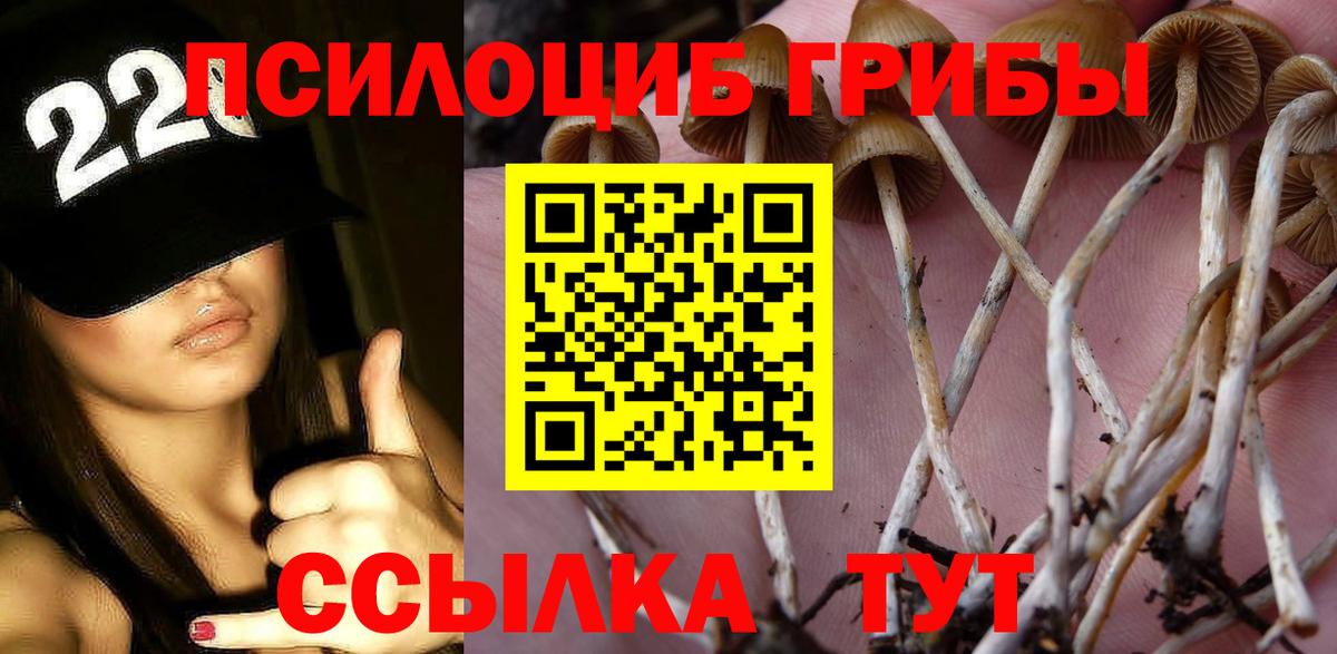 как найти закладки  Псилоцибиновые грибы прущие грибы  Вход с VPN  Красноярск 